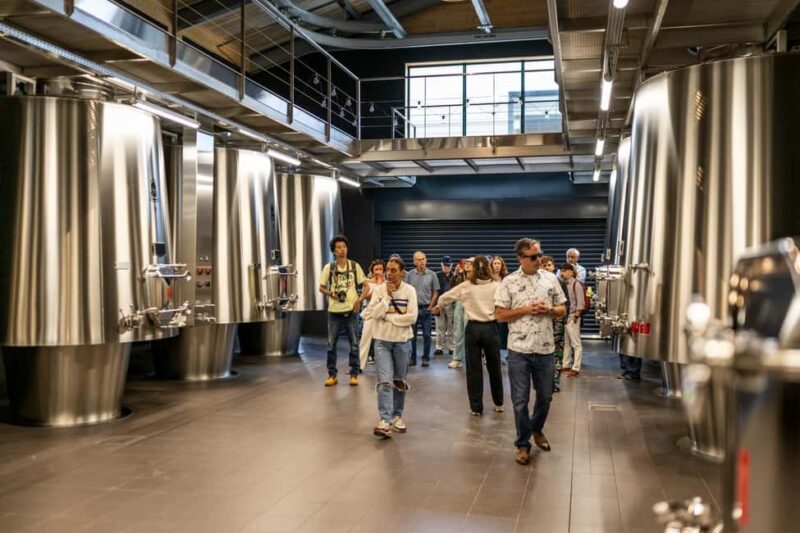 Full-day Saint-Emilion: Village, Undergrounds and Châteaux - Logistics and Practical Tips