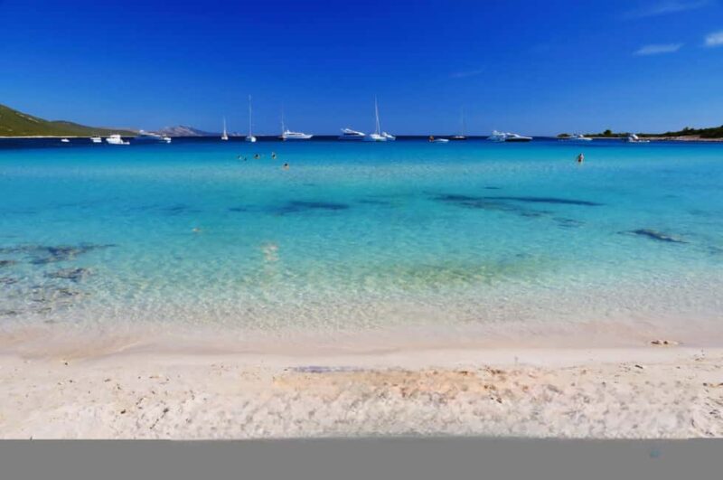 Full day Sakarun with speedboat - Key Points