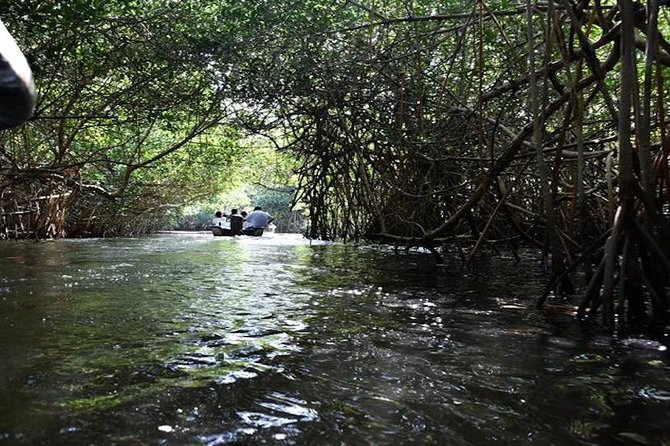 Full-Day San Blas Tour from Puerto Vallarta - The Value and Potential Drawbacks