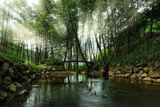 Full Day Sapanca and Masukiye Tour with lunch - Experience the Best of Nature and Culture on the Sapanca and Masukiye Tour