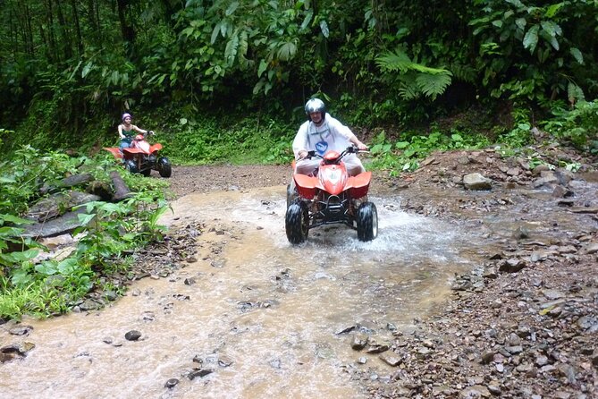 Full Day Sapanca and Masukiye Tour with lunch - Key Points