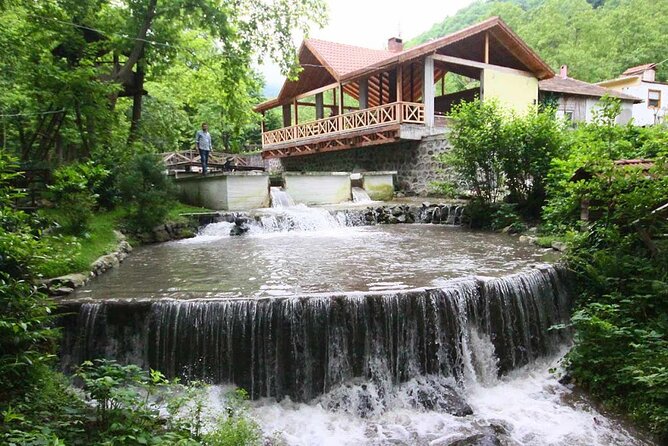 Full Day Sapanca and Masukiye Tour with lunch - Included and Optional Activities