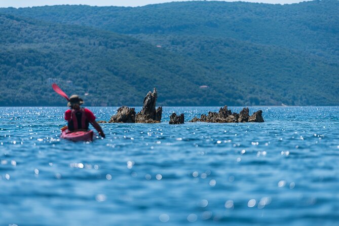 Full-Day Sea Kayaking Tour in Lefkada - Logistics and Group Size