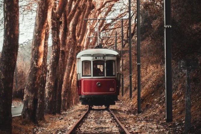 Full-Day Self-Guided Private Luxury Tour in Sintra - Key Points