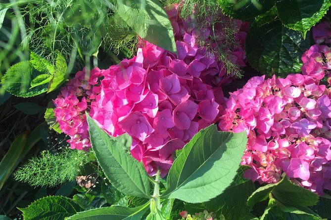 Full Day Sete Cidades and Lagoa do Fogo PRIVATE 4WD Tour with Lunch - Lunch Featuring Azorean Specialties