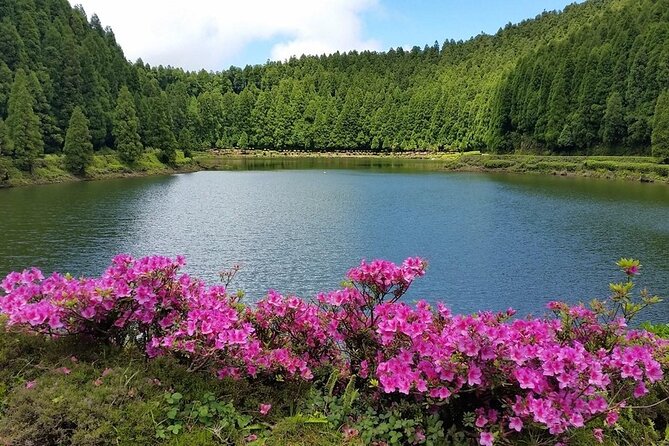 Full-Day Sete Cidades Crater Lake and Fire Crater Lake Private Tour - The Practical Aspects of This Tour