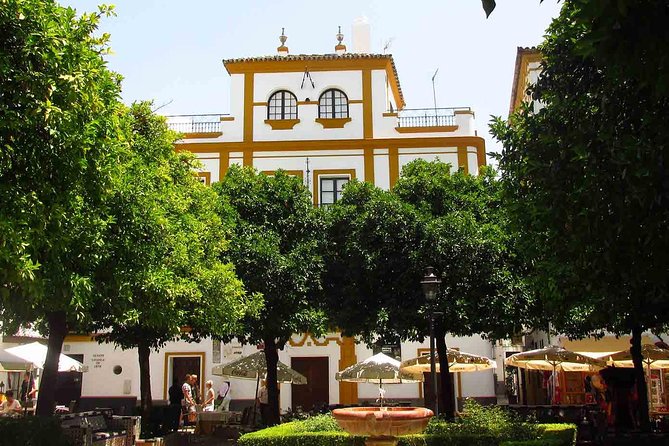 Full Day Seville Tour with tickets (optional Tapas & Flamenco) - Tasting Seville: Tapas and Flamenco