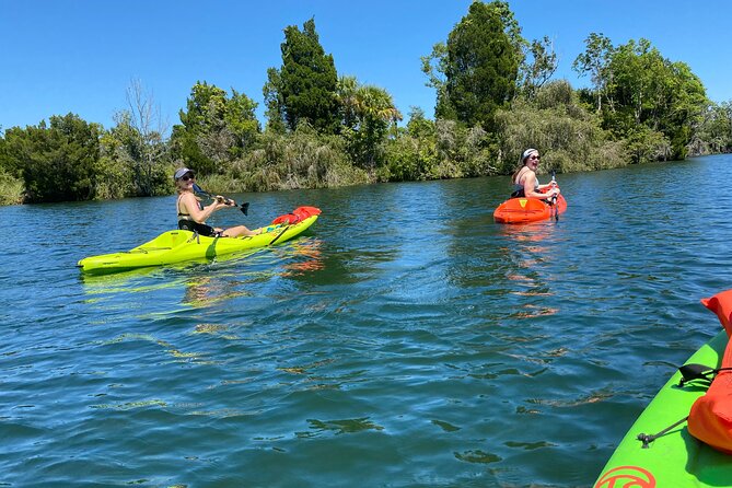 Full Day Single Kayak Rental In Crystal River - Explore Crystal River by Single Kayak for a Full Day