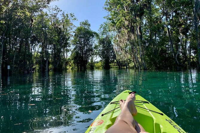 Full Day Single Kayak Rental In Crystal River - Key Points