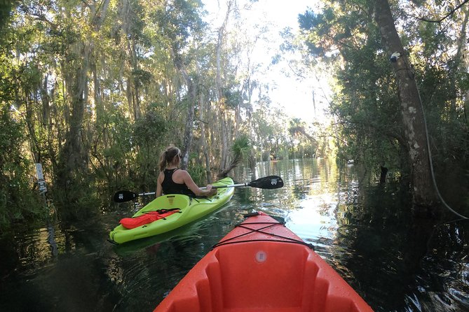 Full Day Single Kayak Rental In Crystal River - Customer Satisfaction and Ratings