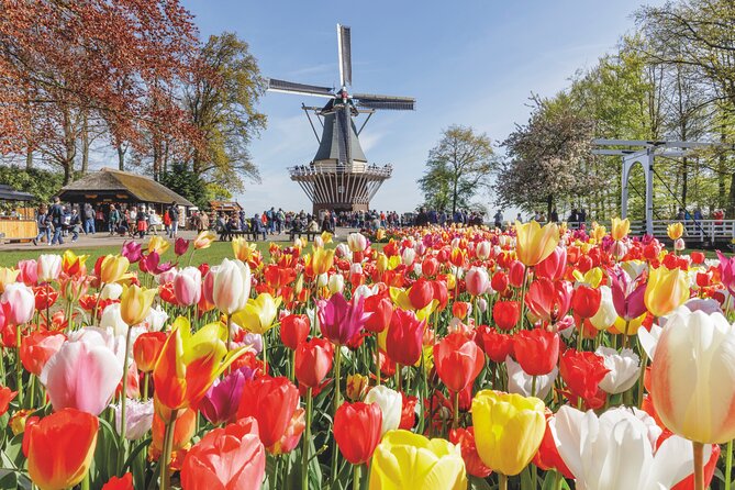 Full-Day Skip the Line Keukenhof and Canal Cruise from Amsterdam - Explore the Full-Day Keukenhof and Canal Cruise Tour from Amsterdam