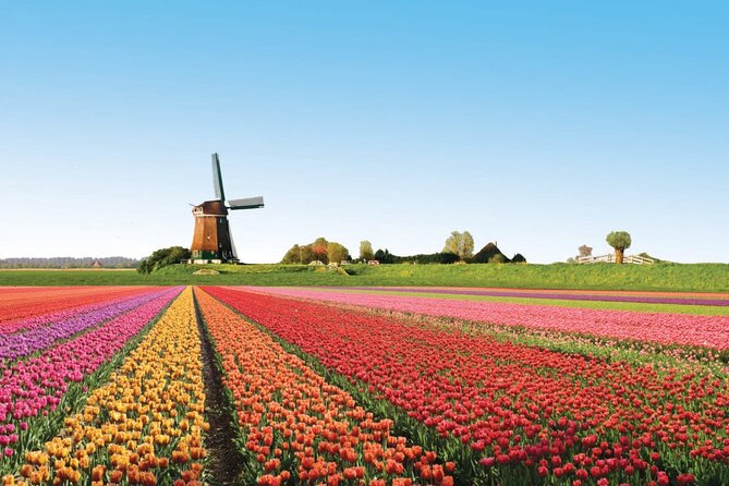 Full-Day Skip the Line Keukenhof and Canal Cruise from Amsterdam - Key Points