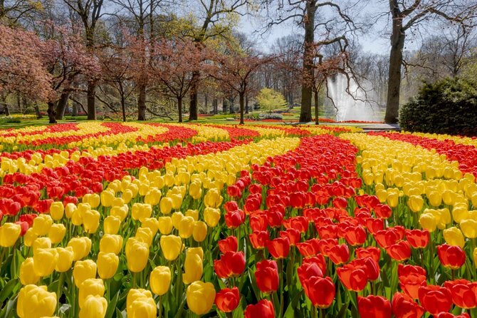 Full-Day Skip the Line Keukenhof and Canal Cruise from Amsterdam - Crowd Levels and Visitor Experience at Keukenhof