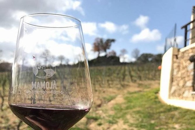 Full Day-Small group: Barbagia Experience: Mamoiada and Orgosolo from Cagliari - Enjoying a Sardinian Lunch in an Authentic Setting