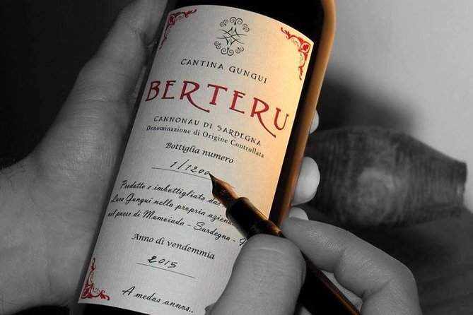 Full Day-Small group: Barbagia Experience: Mamoiada and Orgosolo from Cagliari - Practical Travel Details and Accessibility