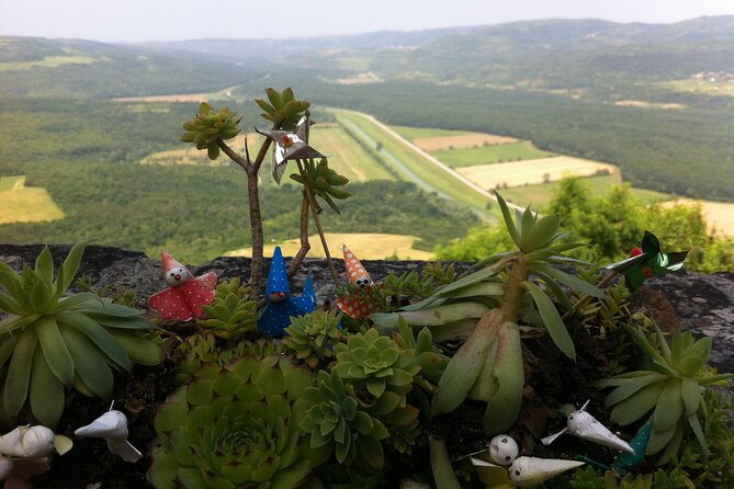 Full-Day Small-Group Tour in Istria - Discover the Charm of Istria in a Full-Day Small-Group Tour