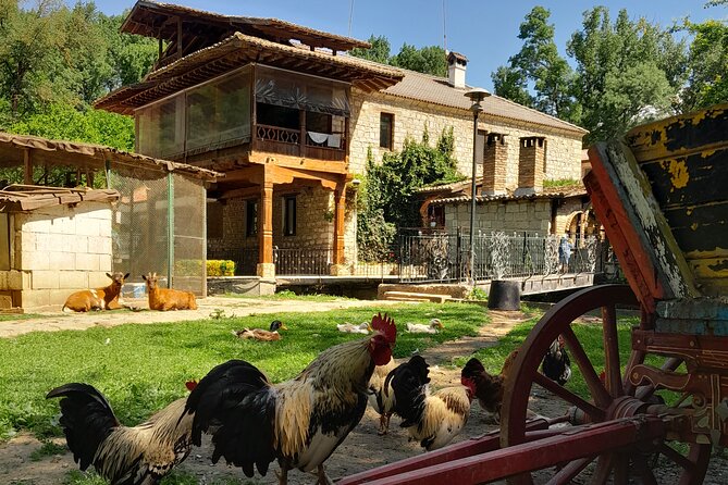 Full-Day Small-Group Tour of Bulgaria by Minivan with Lunch - Exploring the Museum of Mosaics