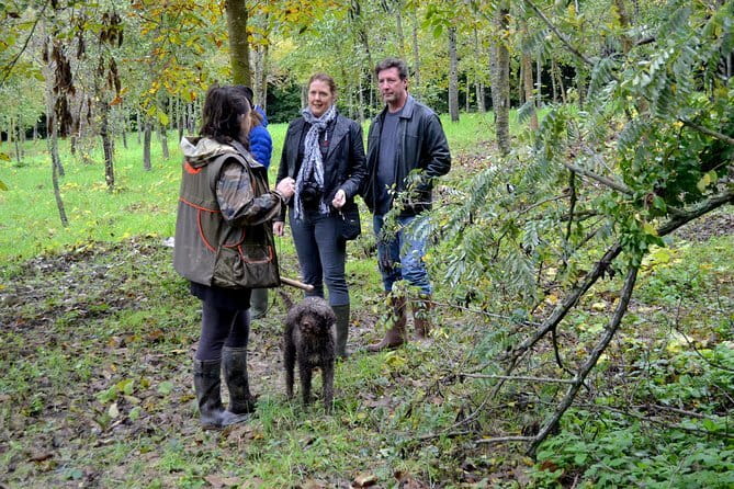 Full-Day Small-Group Truffle Hunting in Tuscany with Lunch - Full-Day Small-Group Truffle Hunting in Tuscany with Lunch