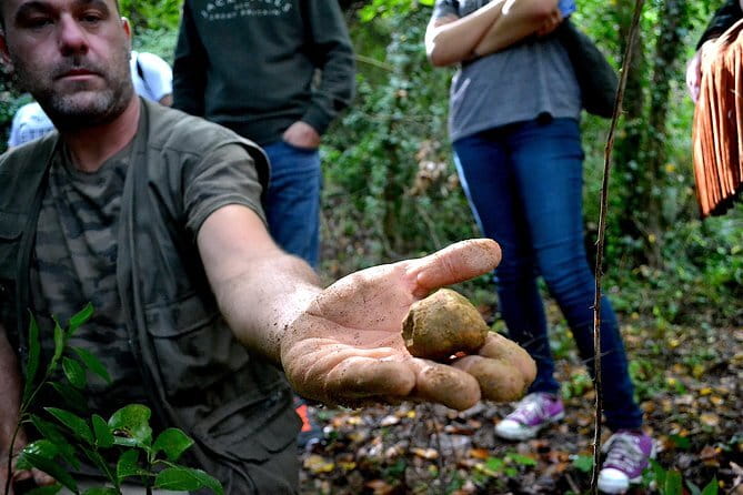 Full-Day Small-Group Truffle Hunting in Tuscany with Lunch - Tasting the Fruits of the Hunt: The Lunch Experience