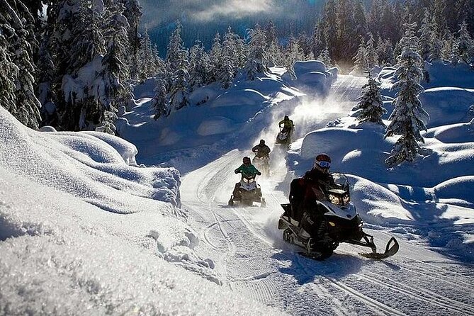 Full Day Snowmobile Safari - Starting in Rovaniemi: Hotel Pickup and Meeting Details