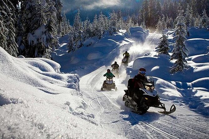 Full Day Snowmobile Safari - Discovering Lapland’s Hidden Gems and Scenic Views