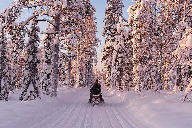 Full Day Snowmobile Safari - Frequently Asked Questions