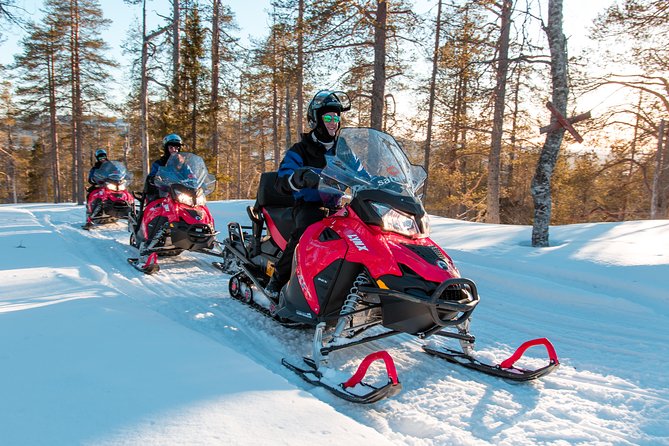 Full Day Snowmobile Safari into the Lappish Wilderness in Rovaniemi - Pricing and Overall Value