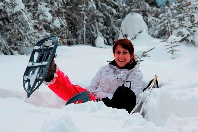 Full-Day Snowshoeing in High Tatras with Local Mountain Guide from Poprad - Meet Your Local Guide and Prepare for an Easy Snowshoe Journey