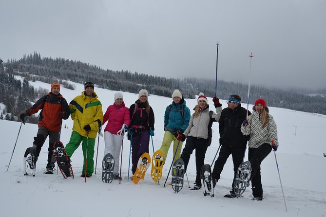Full-Day Snowshoeing in High Tatras with Local Mountain Guide from Poprad - Flexibility, Timing, and Private Experience