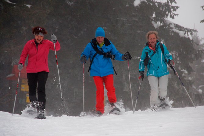 Full-Day Snowshoeing in High Tatras with Local Mountain Guide from Poprad - Testimonials Highlighting the Guide and Experience