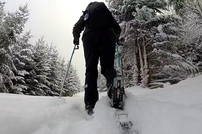Full-Day Snowshoeing in High Tatras with Local Mountain Guide from Poprad - Who Will Enjoy This Snowshoeing Tour?