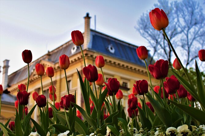 Full Day Sofia Tour - The Bulgarian Royal Palace: Art, Ethnography, and Royal Tales