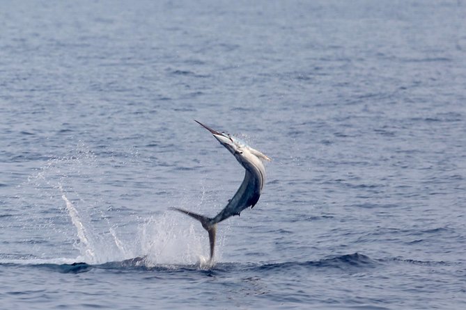 Full Day Sportsman/Enthusiast Charter - Key Points