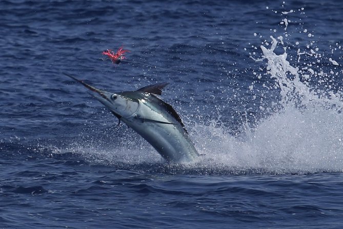 Full Day Sportsman/Enthusiast Charter - Logistics: Meeting Point and Group Size