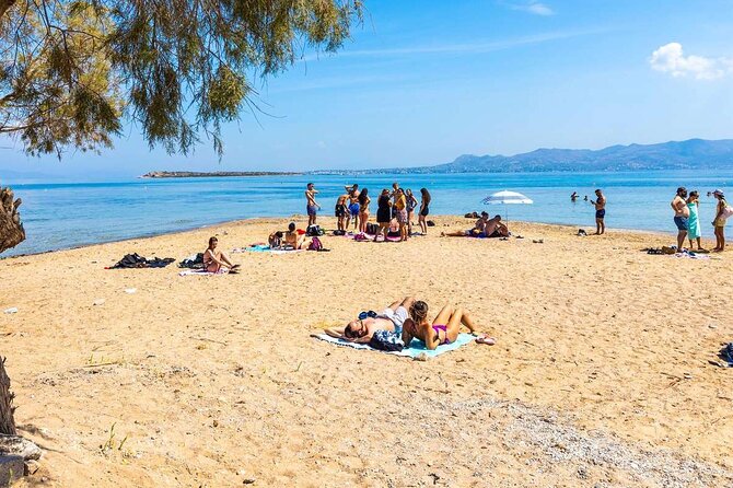 Full-Day Swimming Cruise Tour in Agistri, Moni & Aegina - Exploring Agistri: Pine-covered Landscapes and Beach Time