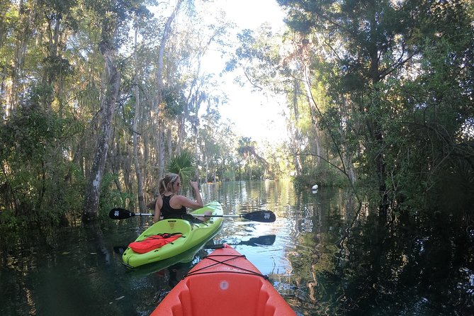 Full Day Tandem Kayak Rental For Two People In Crystal River, Florida - Seasonality and Manatee Viewing Considerations