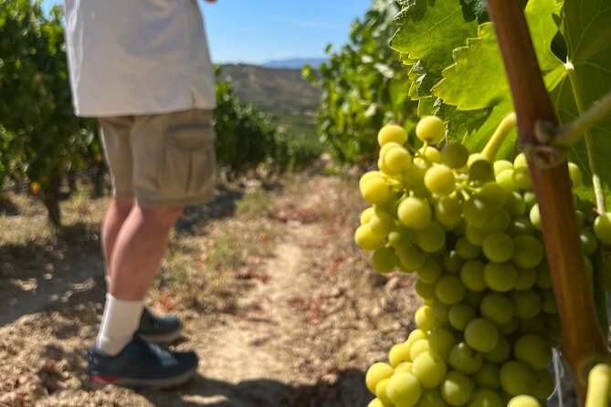 Full Day Tasting The Unknown Rioja Wine Region - Discovering Laguardia’s Medieval Charm and Tasting Tunnels