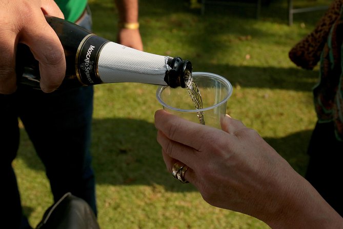 Full-Day Teotihuacan Hot Air Balloon Tour from Mexico City Including Transport - Is This Tour Right for You?