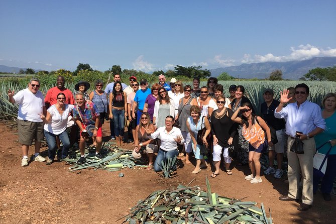 Full-Day Tequila Tour from Guadalajara - Practicalities: Transportation, Guides, and Group Size