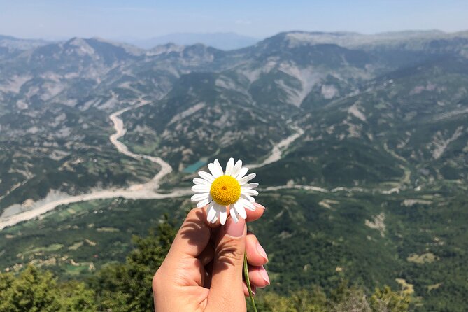 Full Day Tirana City & Dajti National Park, Private Tour - Soaring Over Tirana with Dajti Ekspres Cable Car