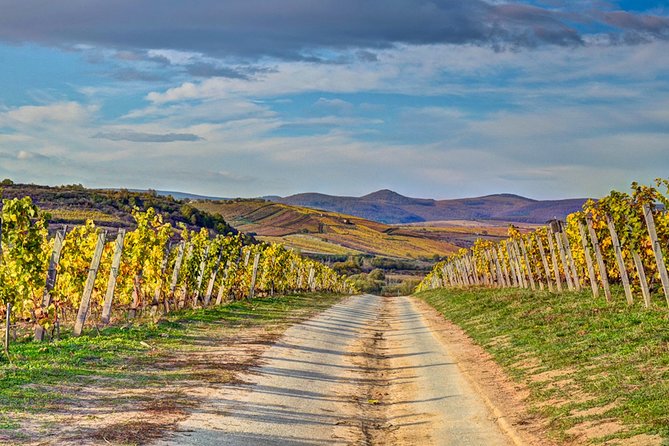 Full-Day Tokaj UNESCO World Heritage Site Private Wine Tour - Discover the Full-Day Tokaj UNESCO World Heritage Site Private Wine Tour