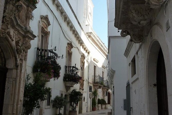 Full-day tour Alberobello & Locorotondo & Polignano a Mare & Bari - The Experience’s Strengths and Considerations