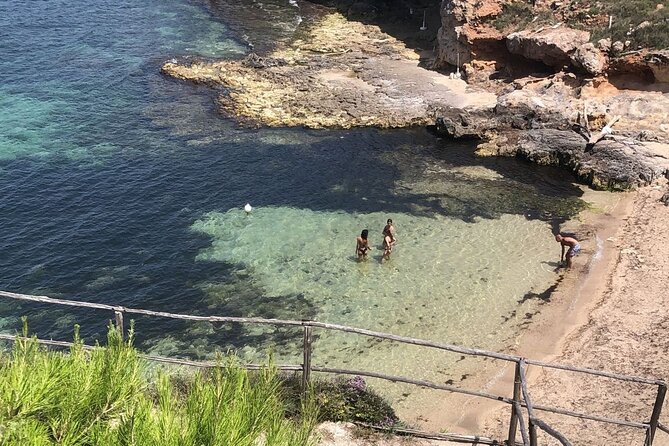 Full Day Tour by Car and Walking among the Apulian Beauties - Final Thoughts on the Apulian Beauties Tour