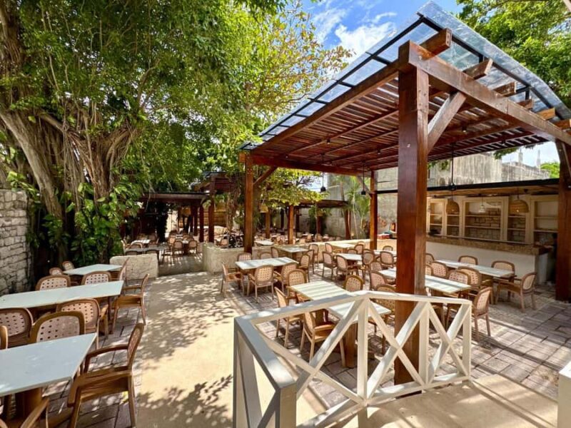 Full-Day Tour Cozumel in Catamaran with Snorkel & Lunch - What Sets This Tour Apart from Others