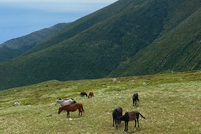 Full Day Tour from Albanian Riviera/Borsh to Dhermi and Llogara - Porto Palermo: Fortress and Soviet Submarine Base