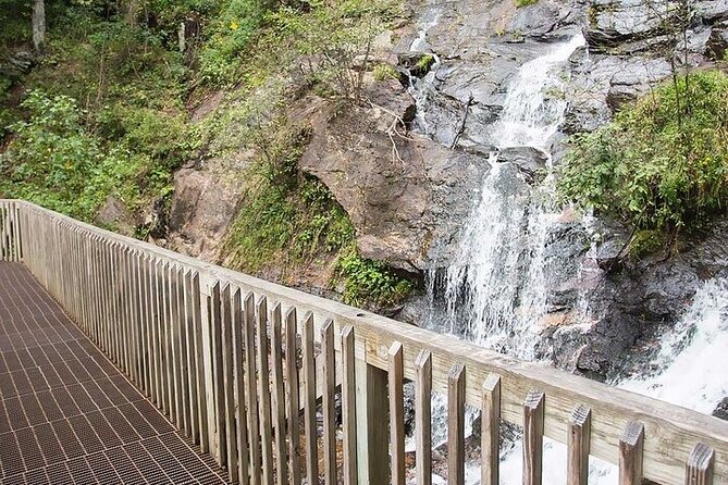 Full Day Tour from Atlanta to Amicalola Falls and Blue Ridge - Scenic Drive Through North Georgia Mountain Countryside