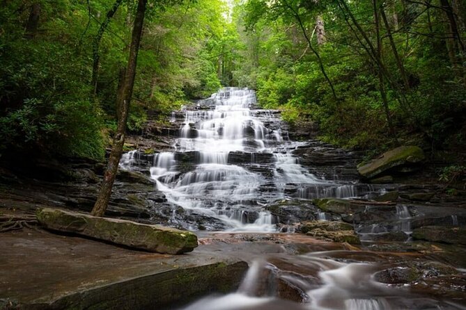 Full Day Tour from Atlanta to Amicalola Falls and Blue Ridge - Vogel State Park: Lakeside Relaxation and Short Hikes