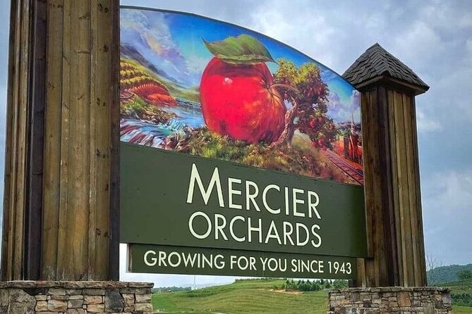 Full Day Tour from Atlanta to Amicalola Falls and Blue Ridge - The Guide and Overall Experience