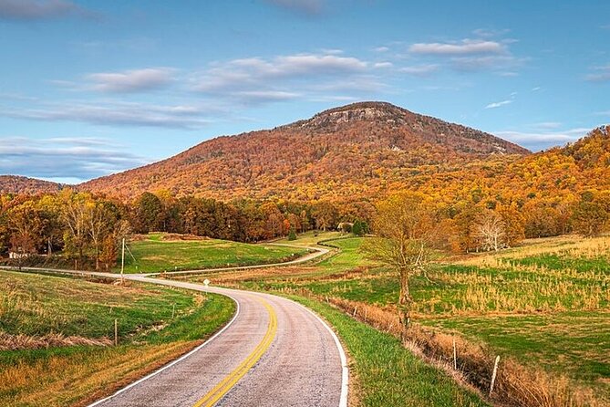 Full Day Tour from Atlanta to Amicalola Falls and Blue Ridge - Limitations and Considerations
