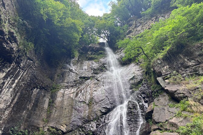 Full Day Tour From Batumi to Waterfalls - Key Points